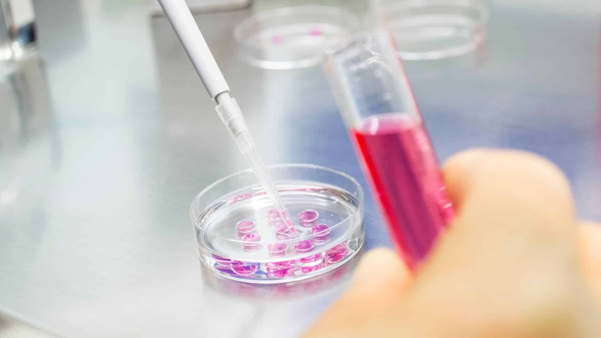 STARTUP Central KU News blog